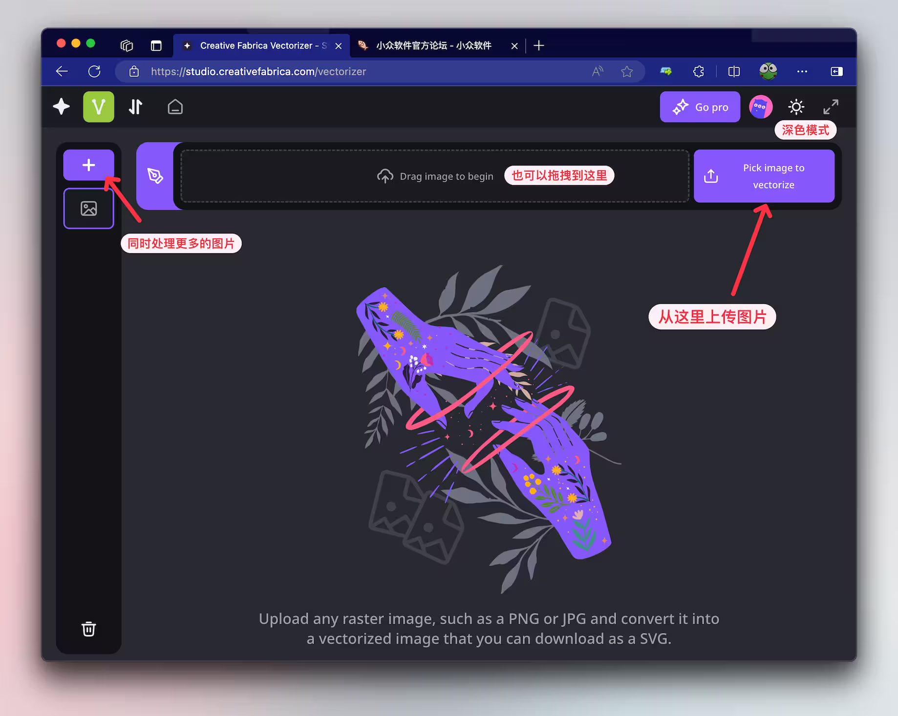 Vectorizer image - 免费 SVG 文件转换器 3