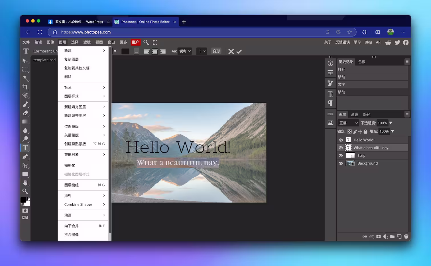 Photopea 开发者新作 Vectorpea：免费在线矢量图编辑器 27