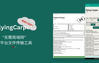 FlyingCarpet - 脱裤子放屁？不需要局域网、开源、跨平台文件传输工具 11