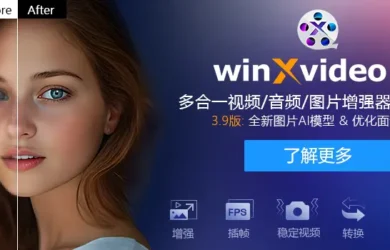 全年最低价| Winxvideo AI – 音频/图片/视频提升和转换工具 21
