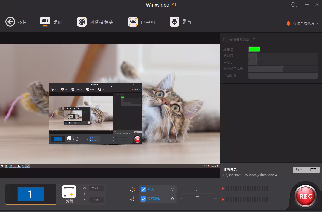 全年最低价| Winxvideo AI – 音频/图片/视频提升和转换工具 7