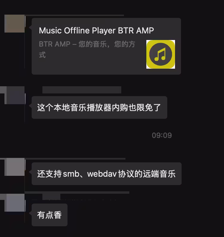 BTR AMP：本地音乐播放器，Pro 内购终身限免[iOS] 37